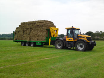 Hay for Sale