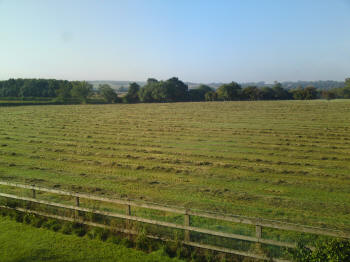 Establish Healthy Grass for Cropping or Grazing