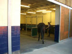 Treatment Centre