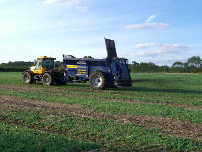 Spreading Compost