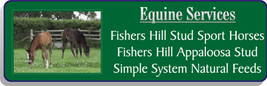 Equine Services from Mill Farm Ashorne