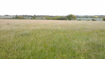 Grassland Care