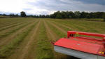 Haymaking Service