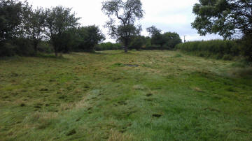 After Topping with Tractor Mounted Flail